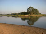 Волга, на болоте